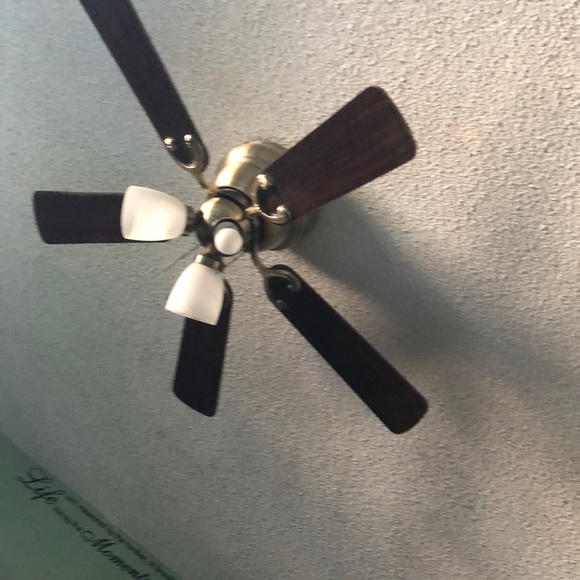 Meet your Posher, Melissa - Picture 1 of 1